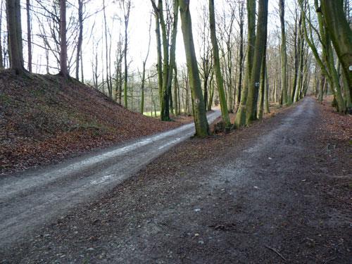 Wie het leuk vind kan hier vanaf de kruising nog een klein uitstapje maken tot boven een kloof. Ga daarvoor op deze kruising rechtdoor omhoog. (Let op; Niet het pad schuin naar rechts dus!