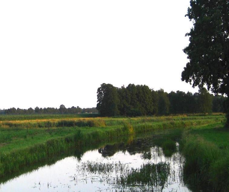Resultaten voor Drenthe (samenvatting situatie 2014) In het Drentse oppervlaktewater werden 74 verschillende actieve stoffen en 5 metabolieten aangetoond* Hiervan is de helft geclassificeerd als zeer