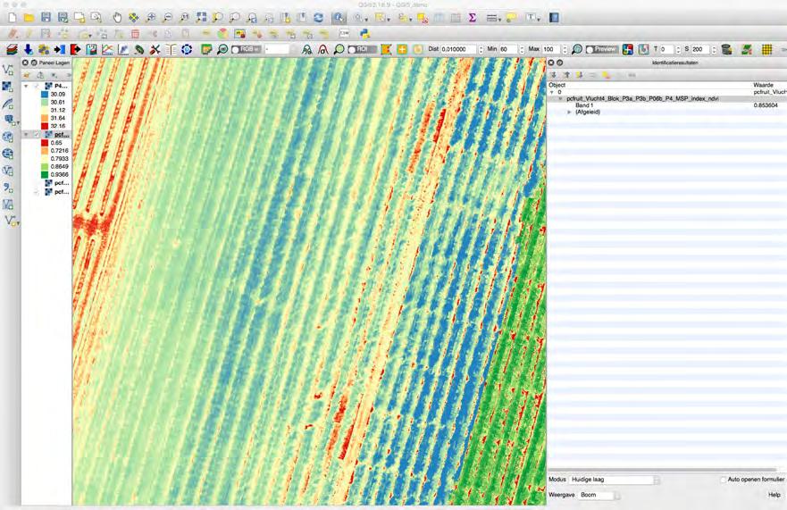 bij fruitplantages Resolutie