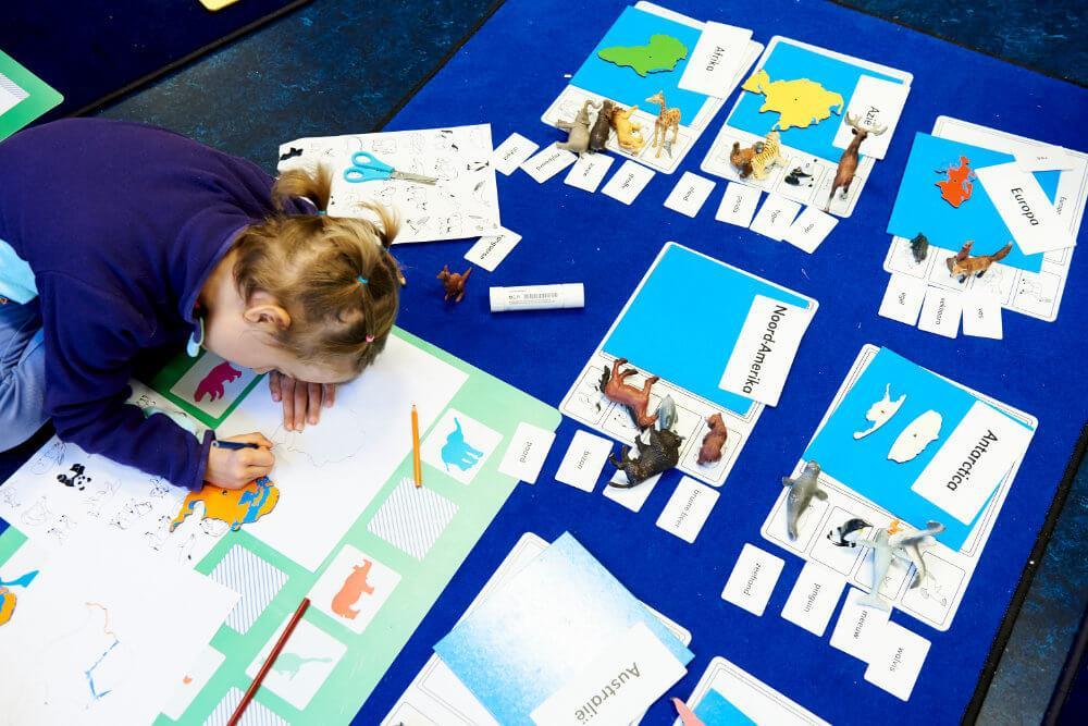 In de middag wordt er wederom gewerkt en vinden er nieuwe groepslessen plaats. We werken in de onderbouw volgens de uitgangspunten van Maria Montessori.