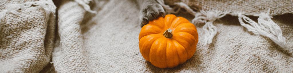 HALLOWEENZWEMMEN In een toffe sfeer kan je met vrienden en vriendinnen zwemmen en ravotten naar hartenlust. Je zwemt er tussen de spinnen, heksen, spoken en pompoenen!