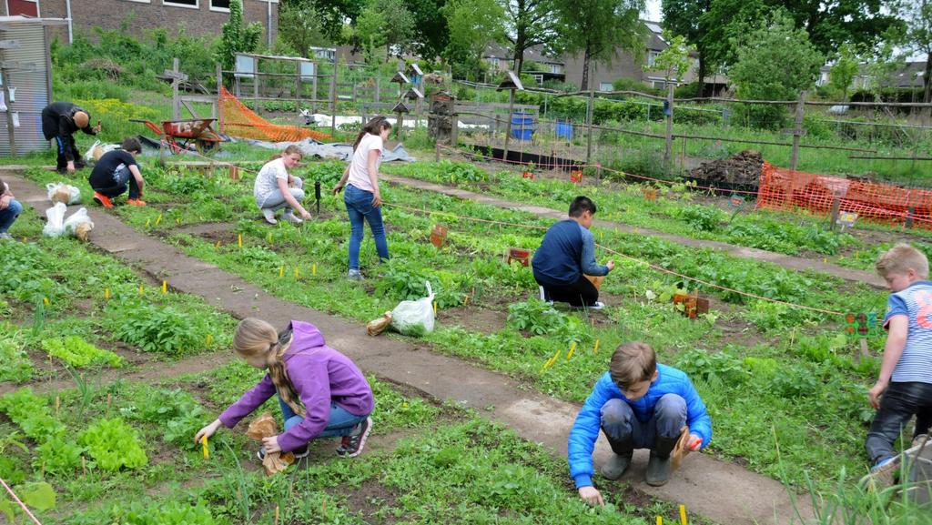 Tuinen en moestuinen Sociaal maatschappelijke meerwaarde Kansen doelgroep & onderneming Talentgerichte activiteiten