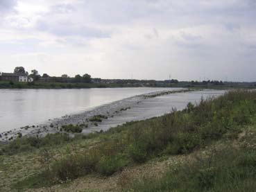 Dit moet gebeuren binnen drie jaar na aanwijzing van het gebied als Natura 2000-gebied.