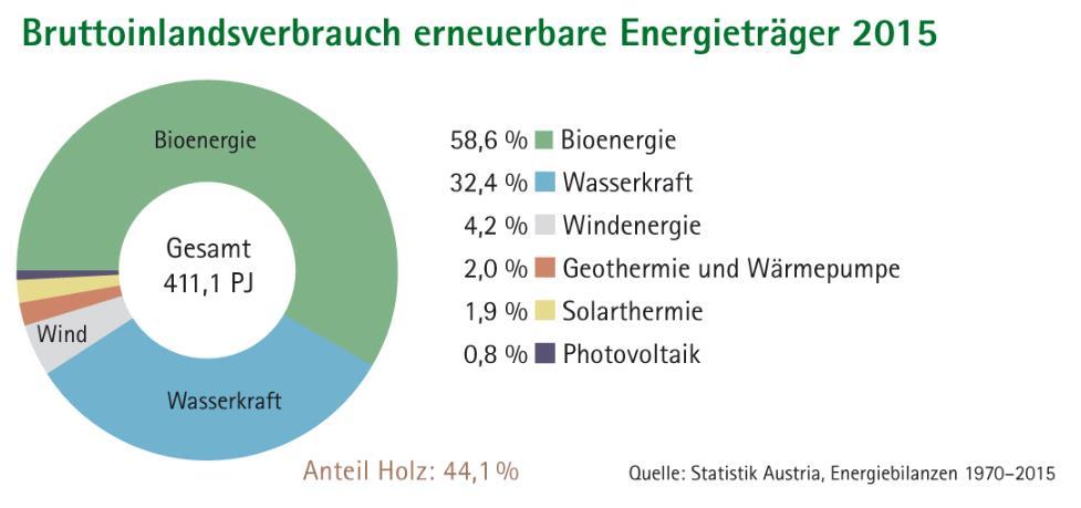 5 Landen als de Baltische Staten, Duitsland, Oostenrijk, Zwitserland, Frankrijk en de Scandinavische landen halen verreweg het grootste deel van hun hernieuwbare energie uit biomassa en voornamelijk