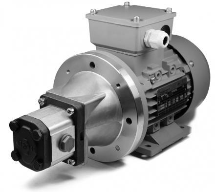 Motor/pompcombinatie 0,55 kw, 230 Volt elektromotor gecombineerd met groep 1 hydrauliekpomp 1.