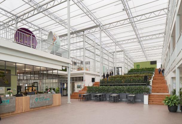 Voorlopig programma Katapult studiereis 6,7 en 8 februari 2019 Woensdag 6 februari World Horti Center Naaldwijk Deze splinternieuwe campus is het belangrijkste innovatiecentrum van de internationale
