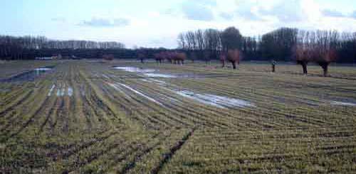 De geplande ringweg: MER Is de doortrekking van de ringweg de beste manier om de