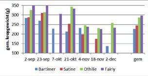 Het gemiddelde kropgewicht over alle rassen en zaaidata in de 1 e en 2 e periode van onderzoek was resp. 240 en 265 g per krop. Deze waren van Bartimer en Satine het laagst.