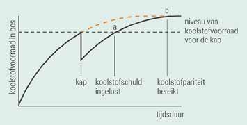 bosberichten Koolstofschuld en pariteit Bij de boordeling van de CO 2 -neutraliteit van de inzet van hout als energiebron kun je verschillende uitgangspunten nemen: 1.