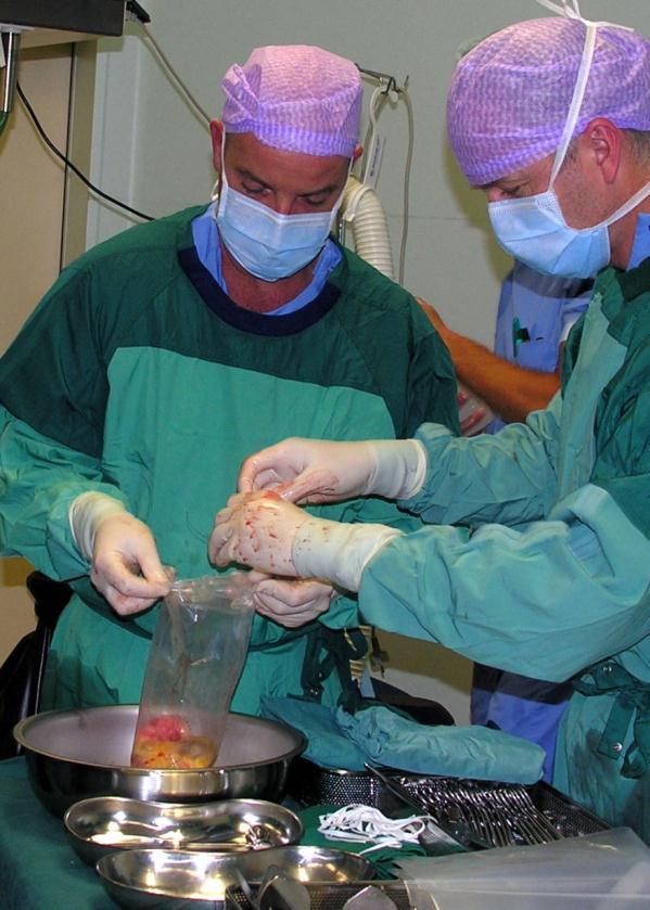 28 Follow up Bezoek nabestaanden Nieren zijn getransplanteerd bij een