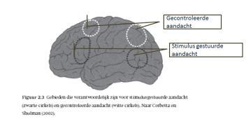 Werkgeheugen Bron: