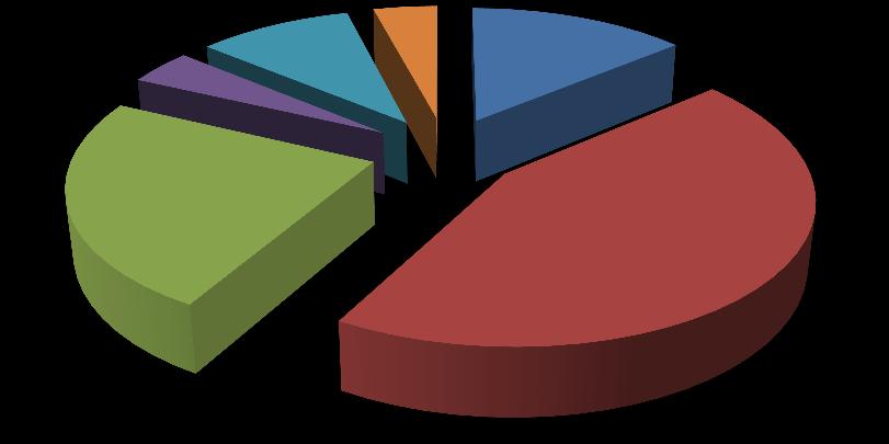 Logiesuitbatingen - 2015 Kampeerlogies 5 4,1% Huurvakantiewoningen 29