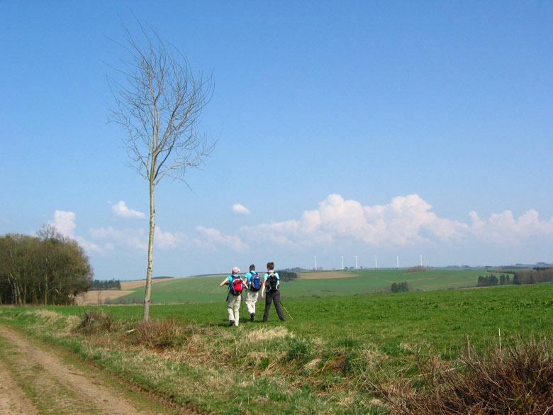 Rechts moeten we hebben en na 20 meter gaat het met een bocht naar links omhoog het bos in, steeds verder weg van het verkeerslawaai.