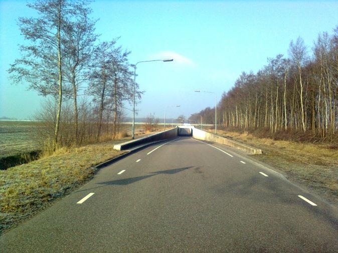 Vanaf de Molendwarsstraat volgt alternatief E globaal het tracé langs het landgoederenterrein van het Hartelaar.