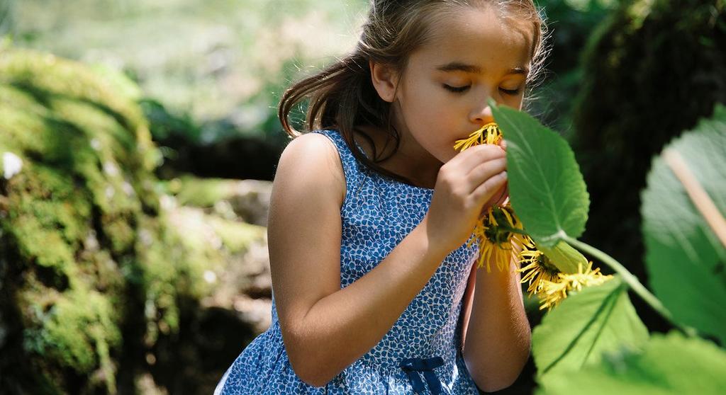 Kinderen Kinderclubs Baby Club Med (4 t/m 23 maanden)* Petit Club Med (2 t/m 3 jaar)* Mini Club Med (4 t/m 10 jaar) Club Med Passworld (van 11 t/m 17) Leeftijd min. Leeftijd max.