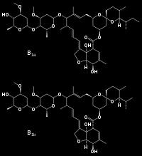 Middelen tegen wormen Macrocyclische lactonen (bv ivermectine, doramectine en moxidectine) zijn veel gebruikte, zeer effectieve antiparasitaire middelen.