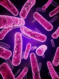 3. Infectieziekten a. Tuberculose (Eritreeërs > Syriërs) + b. Hepatitis B en C + c. Malaria += d. HIV / soa + e.