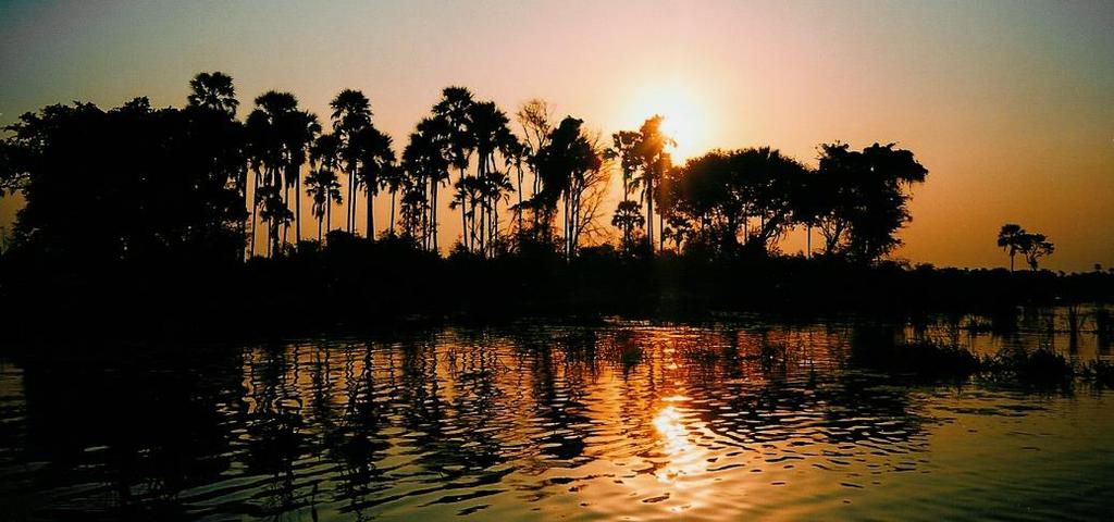 vervolg dag 2. 16h00 Scheduled Zambezi river sunset cruise. Departure from Hotel. Je gaat een mooie sunset rondvaart maken op de Zambezirivier, een van de grootste rivieren van Afrika.