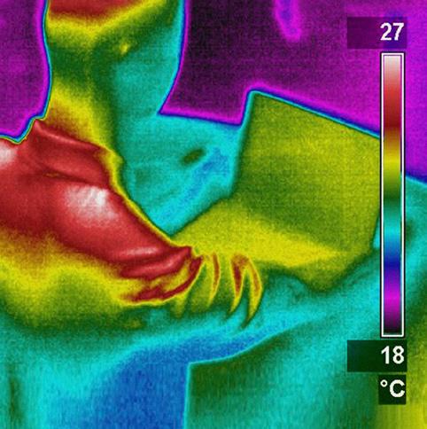 Bovendien zijn de HeatFun-producten te combineren