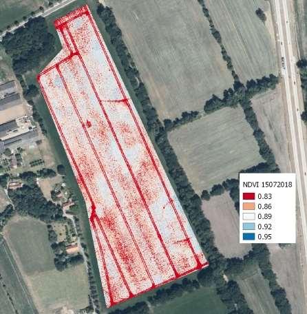 Ondergrond zand NDVI vanop Drone