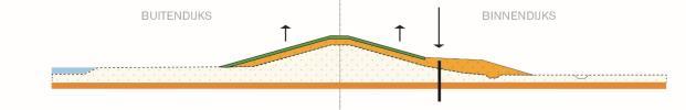 Varianten voor dijkverhoging Vierkant ophogen De dijk wordt gelijkmatig opgehoogd aan beide zijden Binnenwaarts ophogen De dijk wordt in