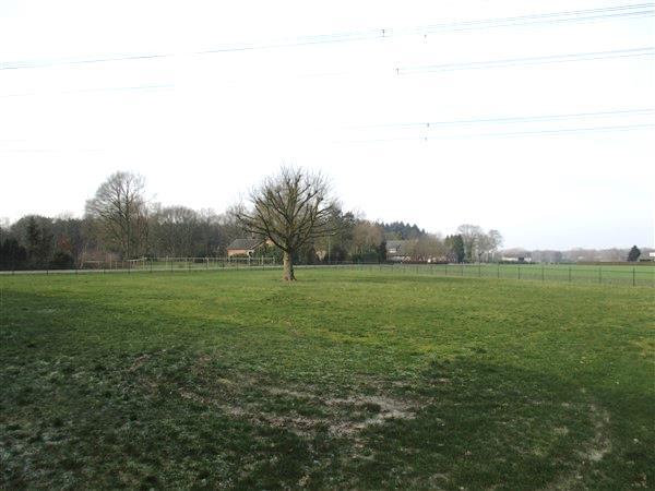 Tuin en erf: De tuin is uitgerust met een verhoogd gelegen beklinkerd terras,