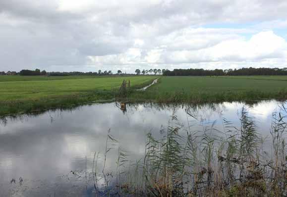 Omgeving Zegveld (Zuid-Holland) Omgeving Langelille -