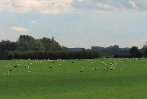 Trek alle stekkers van apparaten die nat geweest zijn, uit de contactdozen. Schakel de aardlekschakelaar in. Schakel één groep in en controleer via een lichtschakelaar of deze groep spanning heeft.