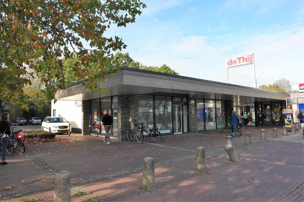 In Winkelcentrum De Thij zijn de volgende bedrijven gevestigd: Albert Heyn, een cafetaria, een café, een drogist, een bakker, een groenteboer, een kiosk, een slijterij, een