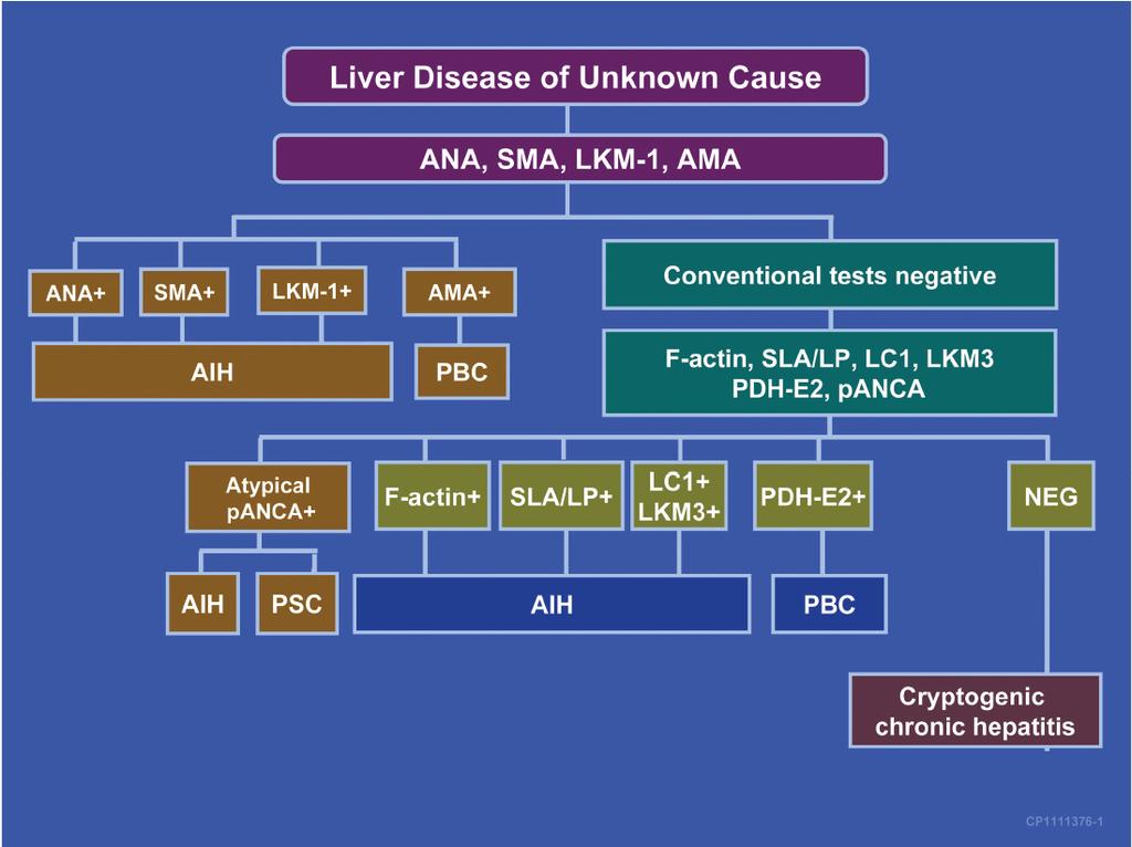 Diagnostisch algoritme AASLD