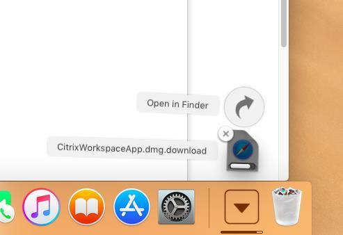1 Installatie Citrix Workspace App Voordat u kunt inloggen moet Citrix Workspace App geïnstalleerd zijn op uw computer.