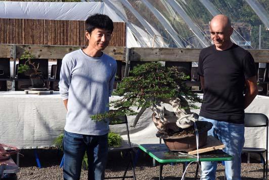 Nederlandse Bonsai Show de demo s Tijdens de Nederlandse Bonsai Show kon u het hele