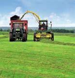 Bonsilage Fit gras Gezondere melkkoeien met hoogste levensproductie Maximale omzetting melkzuur in propyleenglycol.