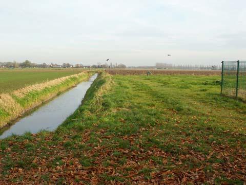 Een wandelmogelijkheid zou hieraan gekoppeld kunnen worden. (zie bijlage ). 9. Van Deelenstraat Dit terrein aan de rand van de bebouwing is vermoedelijk eigendom van Brabant Water.