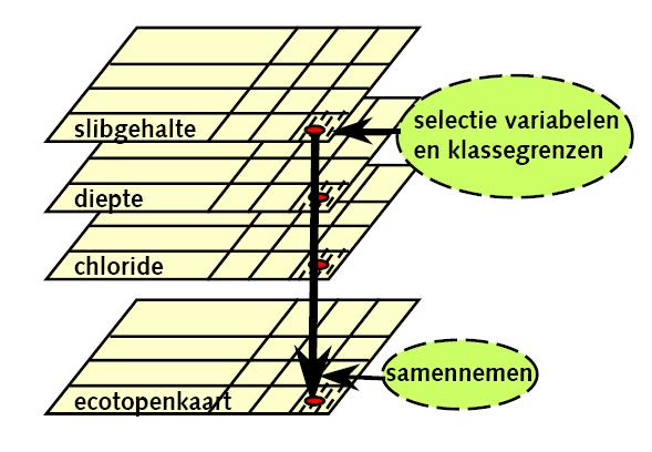 Ecotopenstelsel ZES.1 Indelingskenmerken 1. zoutgehalte en -variatie 2. substraat 1 (hard, zacht) 3.
