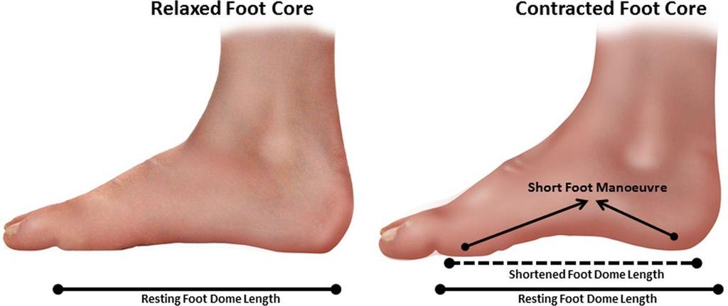 Shortfoot exercise