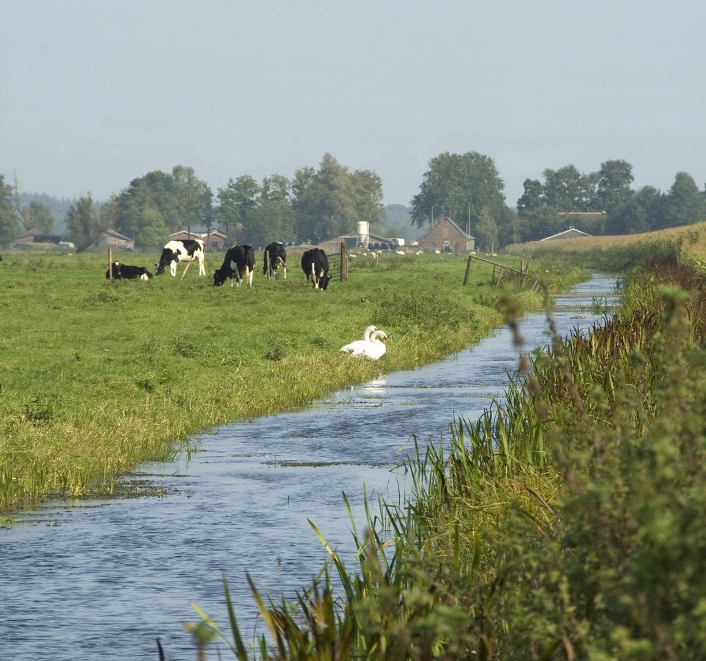 andbouw- Landbouwpraktijk en waterkwaliteit op raktijk landbouwbedrijven