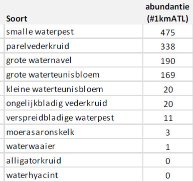 Soortenbesluit Beheerregelingen >< Soortenbeschermingsprogramma Wijd verspreide soorten Invasieve waterplanten Amerikaanse stierkikker Aziatische hoornaar Muskusrat (code-van-goede-praktijk)