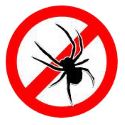 Algemene voorwaarden: Spinbusters V.O.F. Artikel 1 1.1 Spinbusters V.O.F. is een spinnen wering bedrijf gespecialiseerd in het handmatig schoonmaken en schoonhouden van de ondergrond tegen spinnenvervuiling.
