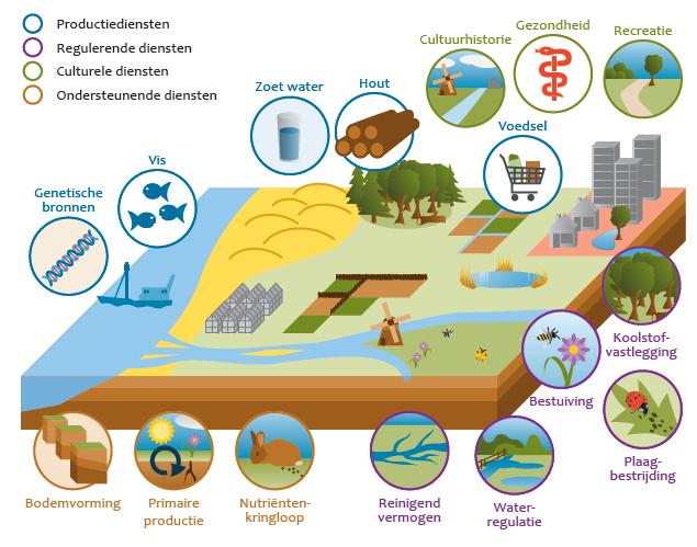 Figuur B1 Ecosysteemdiensten Bron: PBL 2010 Wat natuur de mens biedt.