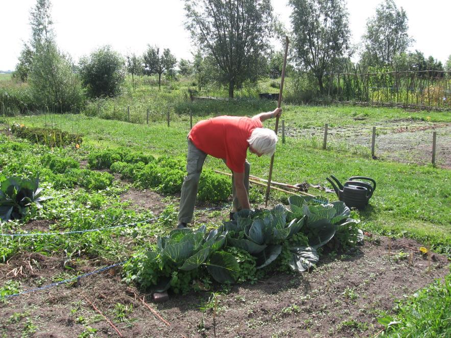 Werk op Eemlandhoeve In Bunschoten ligt de fraaie boerderij van Jan en Maaike Huijgen, tevens zorgboerderij.