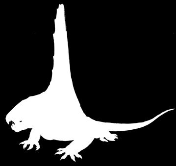 Tamura 17,5 cm 45 cm Dimetrodon grandis door DiBgd 12 cm