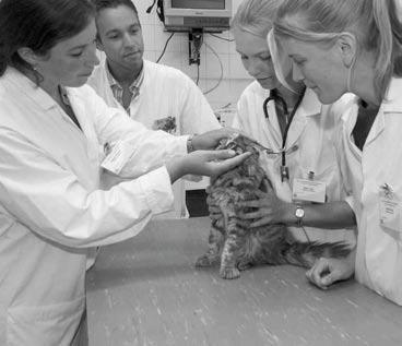 Waarom The Veterinarians Health Study? Als veterinaire student heeft u tijdens uw studie en latere werk intensief contact met dieren.