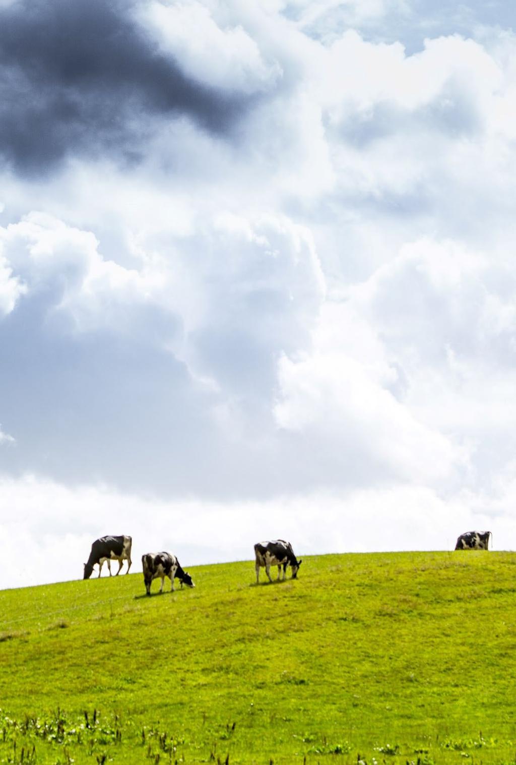 Duurzamere melk Arla gelooft in biologisch en wij bouwen aan de groei van