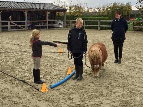 Etten-Leur en op woensdag 3 april bij Kirsty's coaching in De Pony Power voor Kids cursus is geschikt voor kinderen in de leeftijd