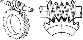 De worm is een schroefwiel met de vorm van een schroef met één of meer gangen. Het wormwiel is een schroefwiel waarvan de tanden een bijzondere vorm hebben.