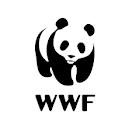 Samen met Verduurzamen Food & Agri ketens wereldwijd 4 innovatieprojecten met WNF in 4 ketens en 4 landen Rabobank is de voorzitter van de WBCSD s