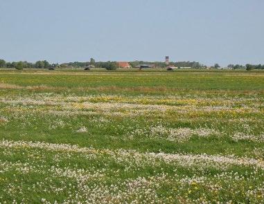 naar een gezond bodemecosysteem met een hoge