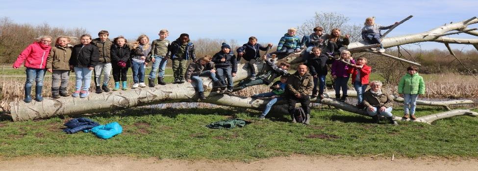 Bezoek Diemerbos groep 6a Op vrijdag 6 april bezocht groep 6a het Diemerbos met boswachter Jay. Het was een prachtige lentedag. De groep begon met een zintuigen oefening: Ogen dicht.