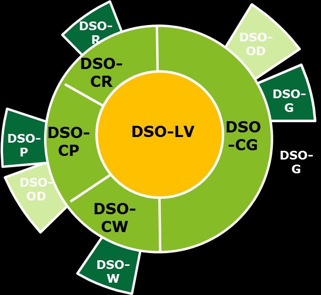 Digitaal Stelsel Omgevingswet (DSO)